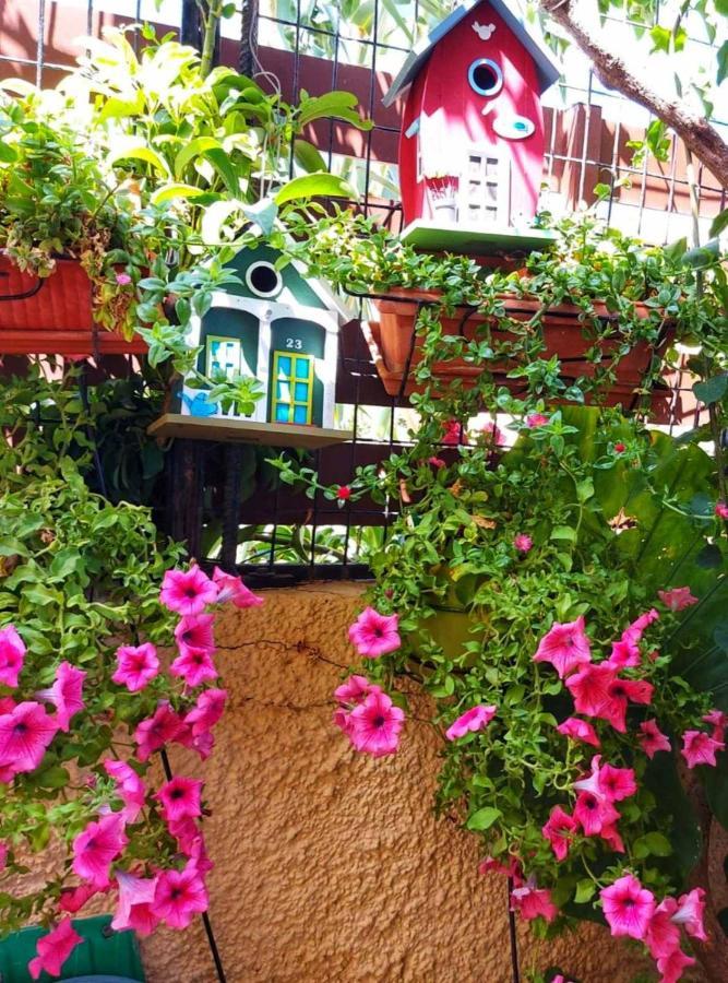 Elisavet'S House Platanés Exterior foto