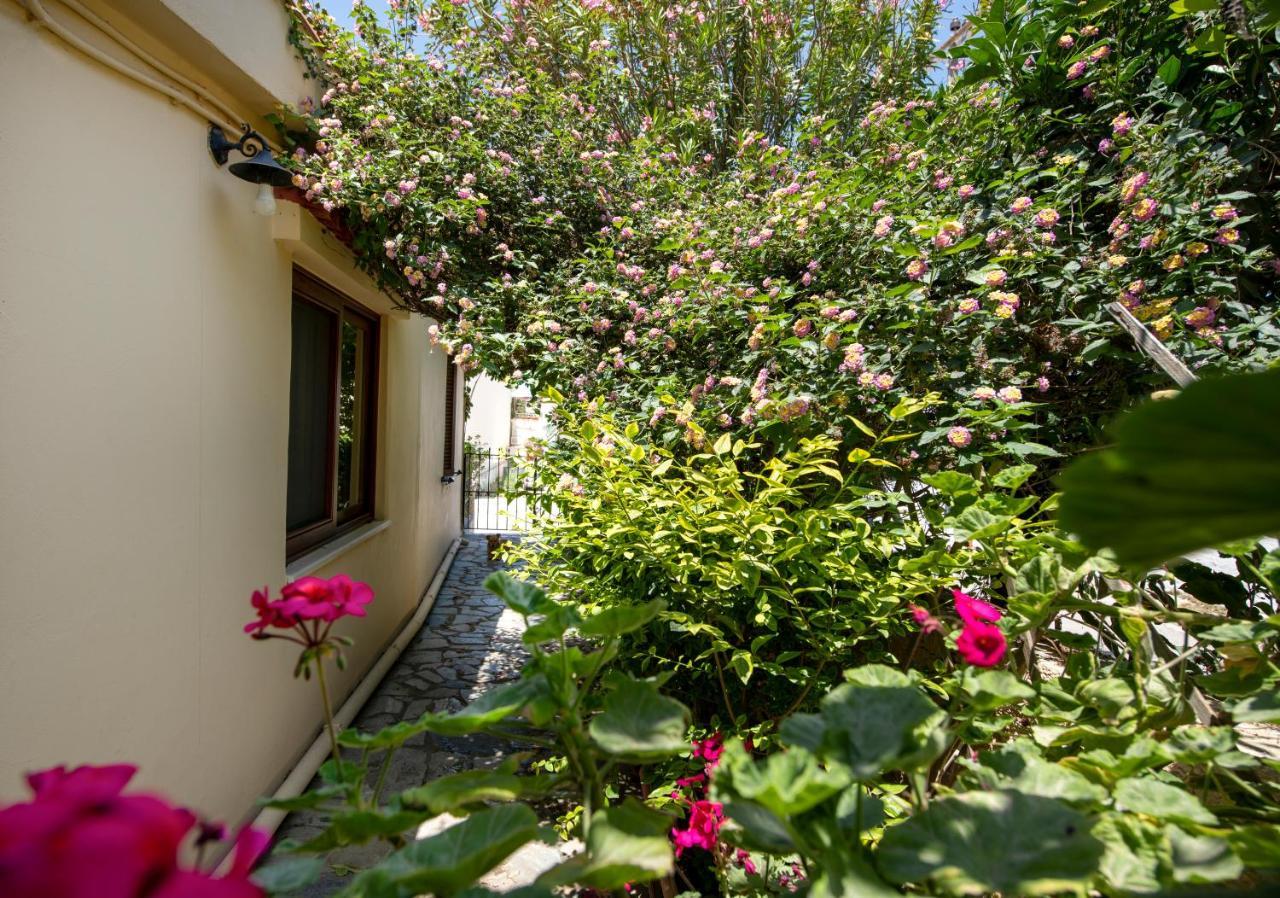 Elisavet'S House Platanés Exterior foto